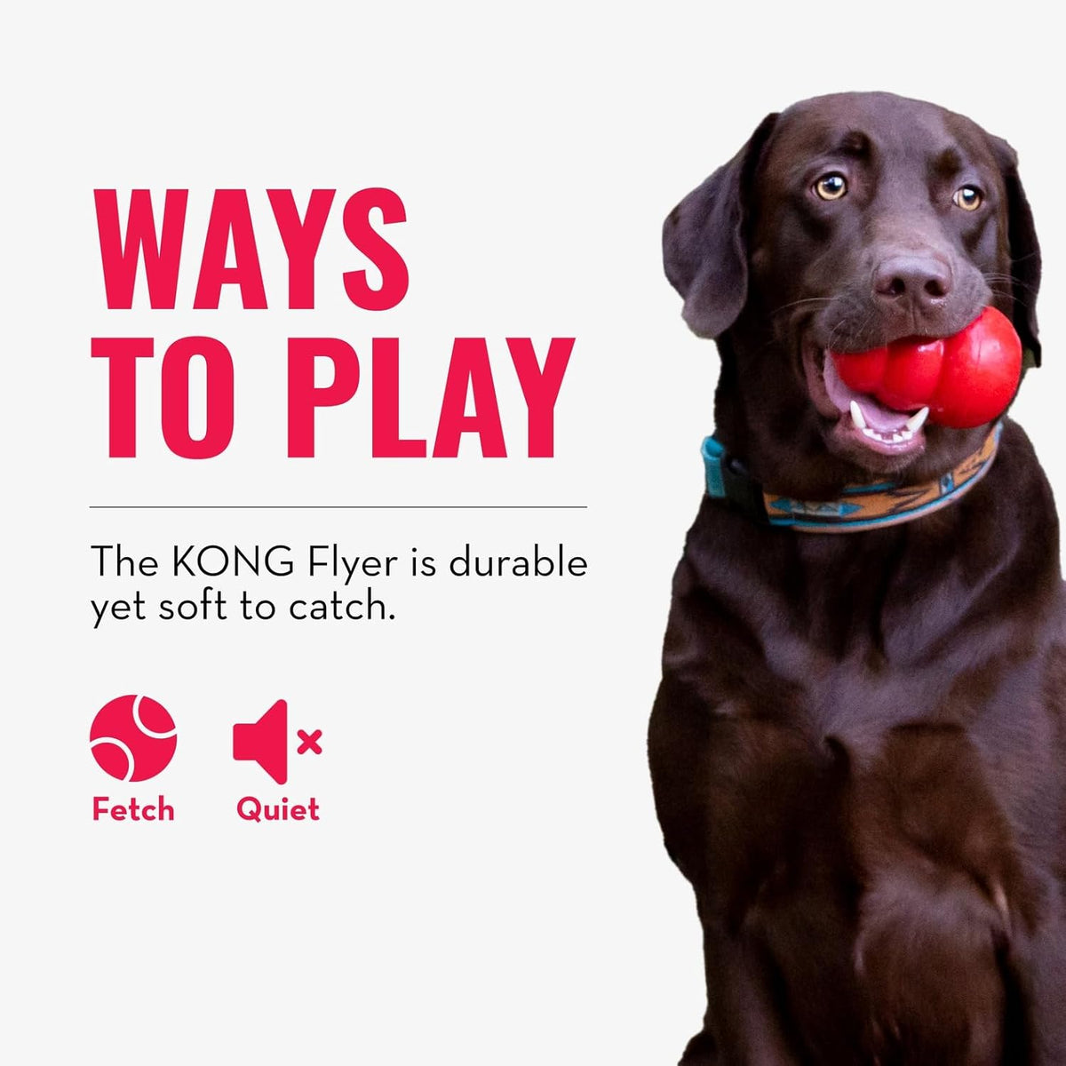 KONG Flyer - Juguete duradero para perros para jugar al aire libre,...