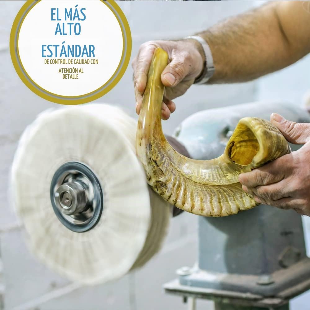 Holy Voice Bocina Kosher Ram Shofar de Israel de 14 a 16 pulgadas,...