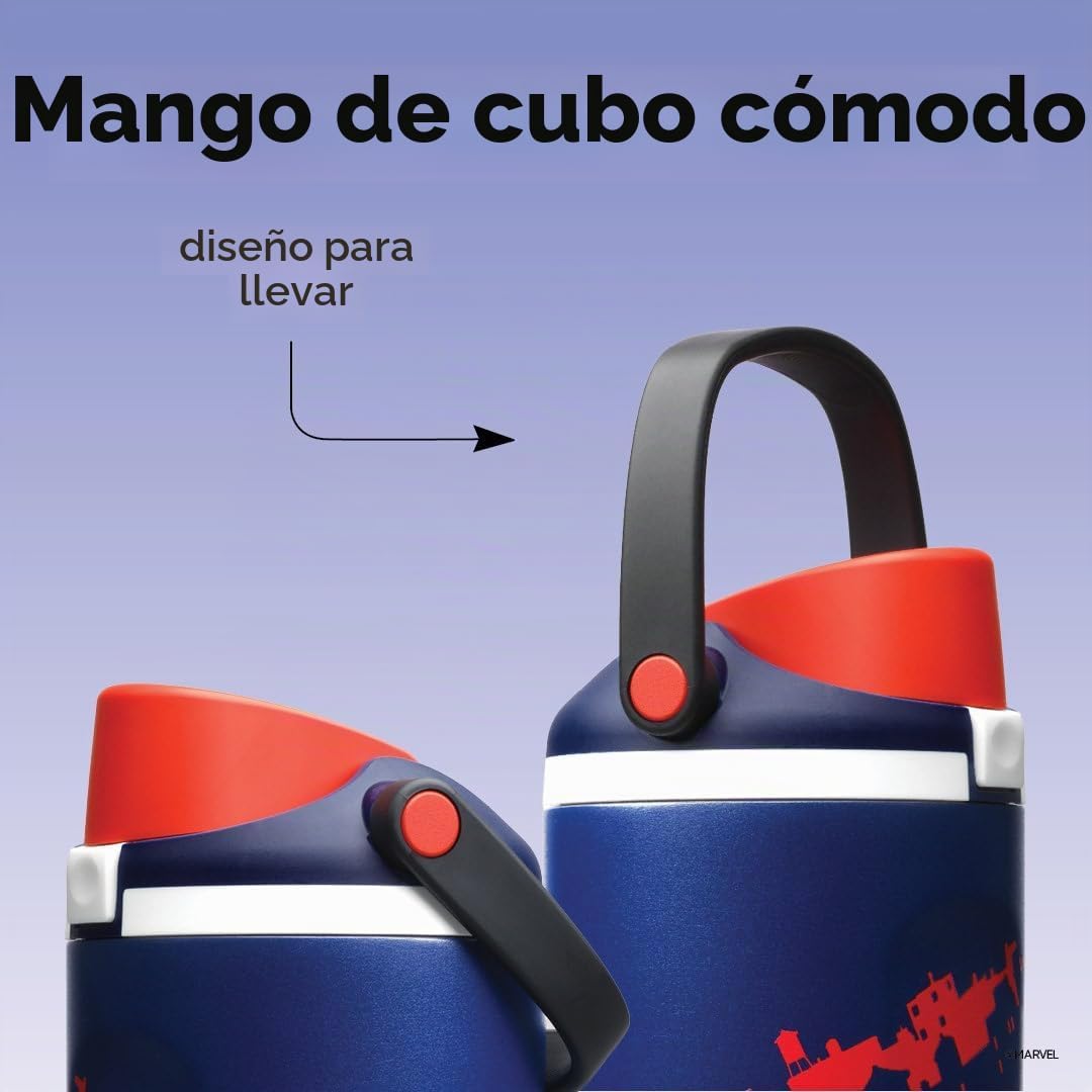 Owala FreeSip Sway - Botella de agua de acero inoxidable de 30 onza...