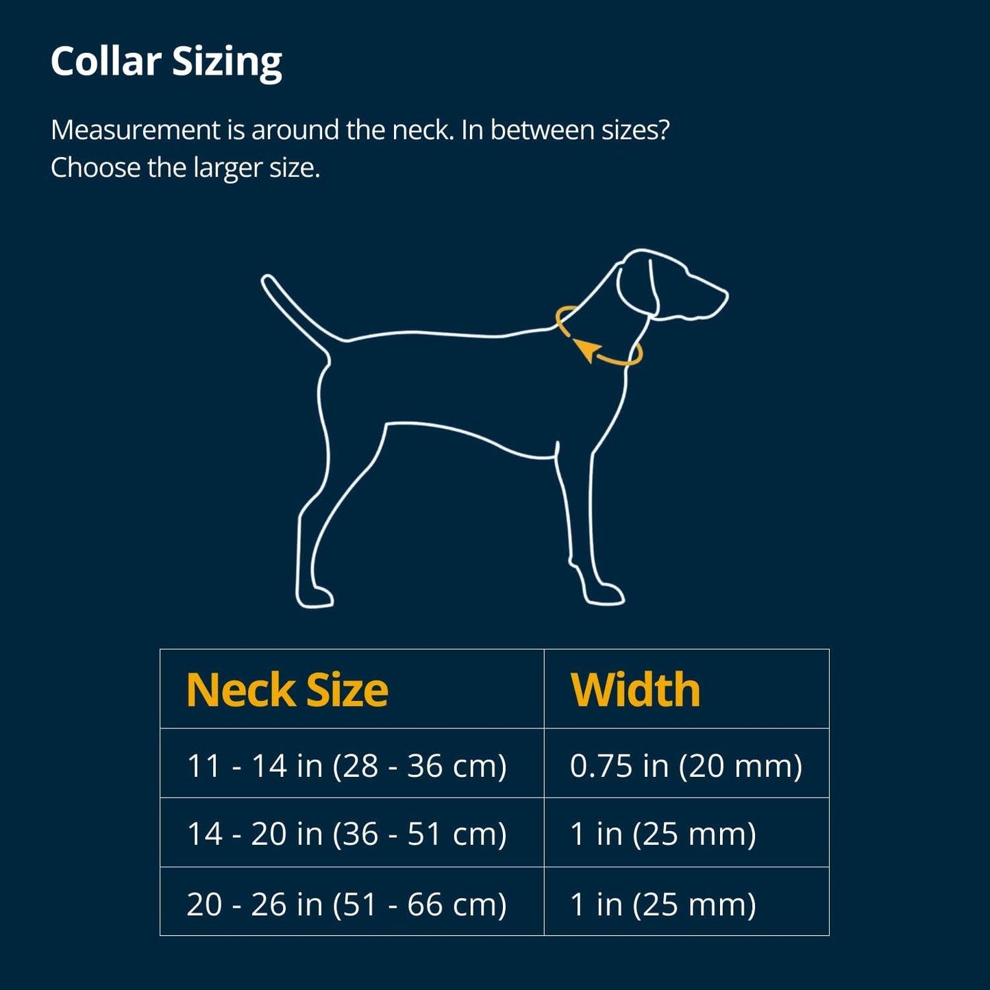 Ruffwear, Ridgeline - Collar para perro, correa reflectante, hebill...