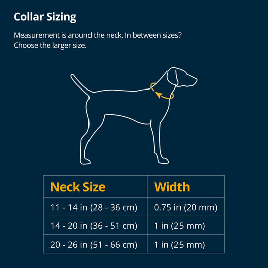 Ruffwear, Ridgeline - Collar para perro, correa reflectante, hebill...