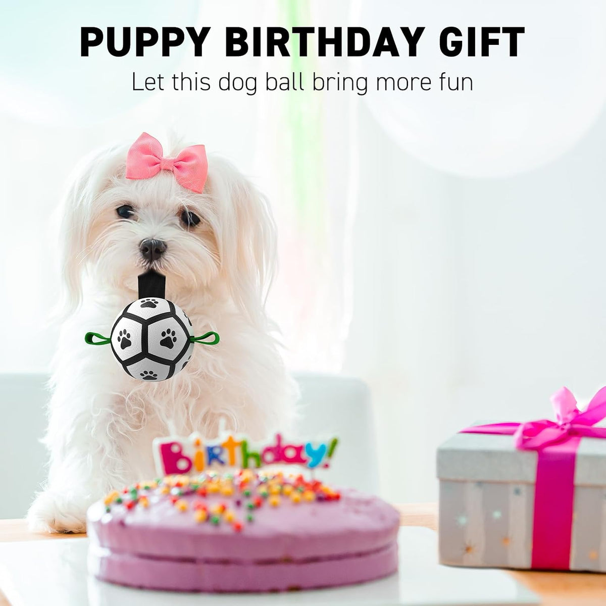 QDAN Juguetes para perros pequeños, pelotas para cachorros, pelotas...