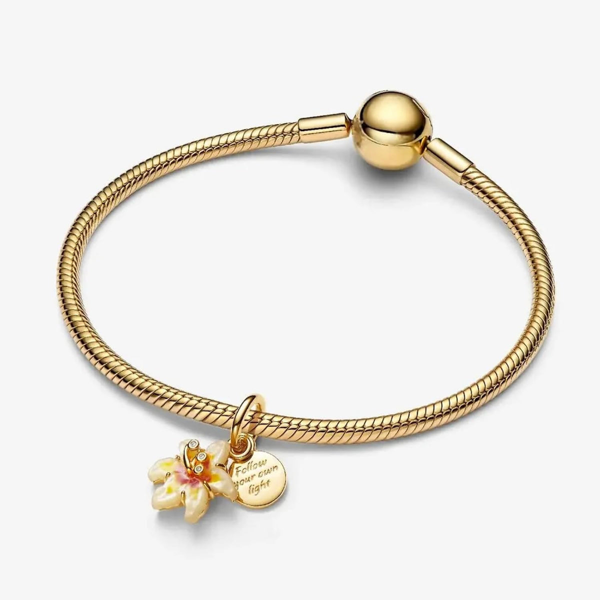 Yuscorai Bonitos dijes de moda para pulseras y collares, para cumpl...