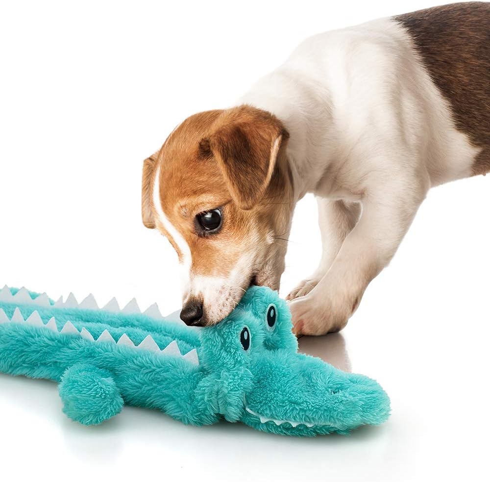 AWOOF Paquete de 5 juguetes chirriantes para perros, sin relleno, j...