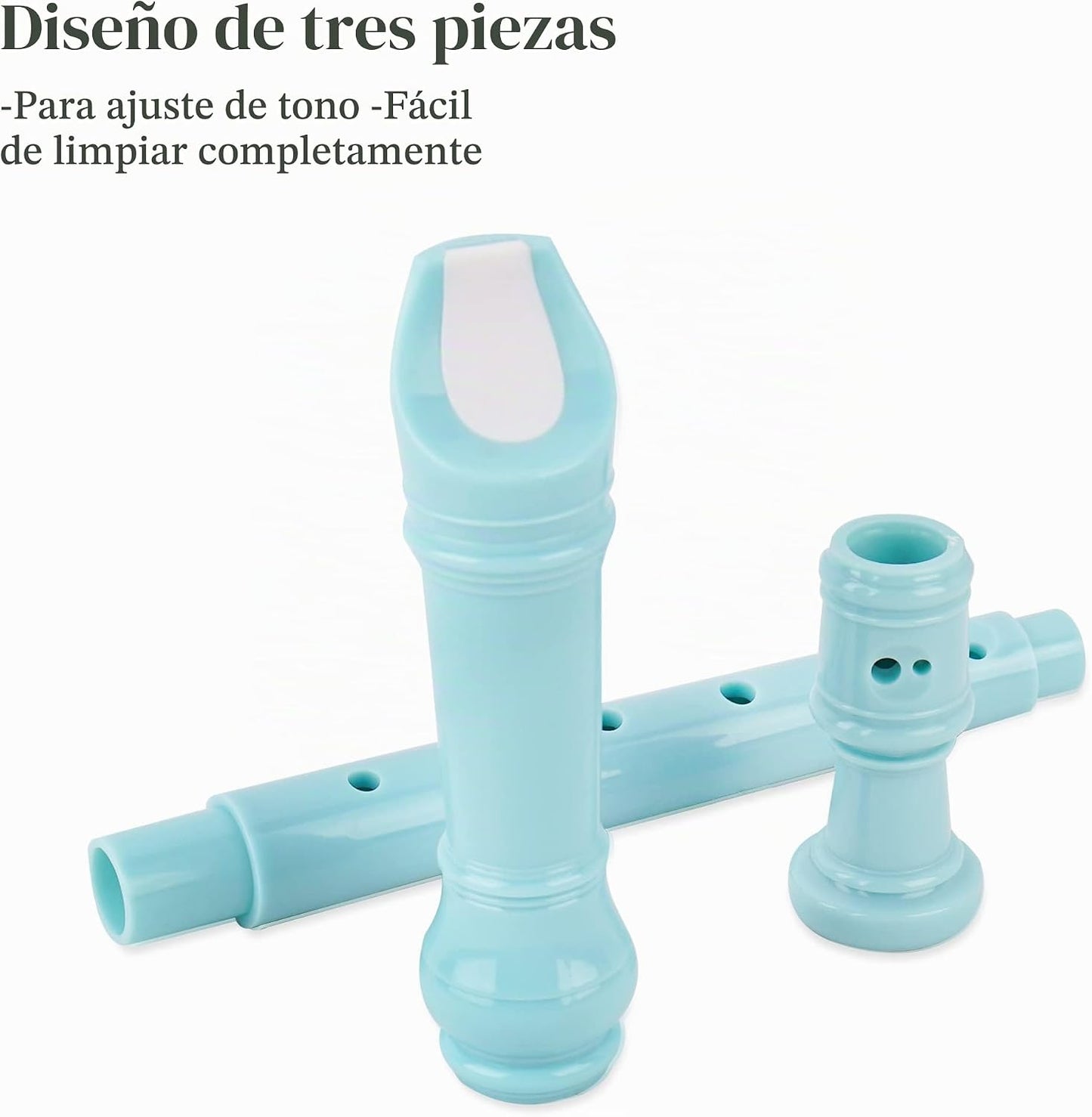 Haecsfl Instrumento de grabación para adultos principiantes, flauta...