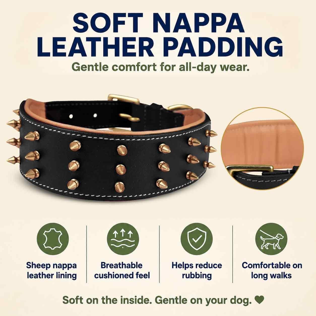 DowgClub Collar de perro de cuero con pinchos, cuero bridle de gran...