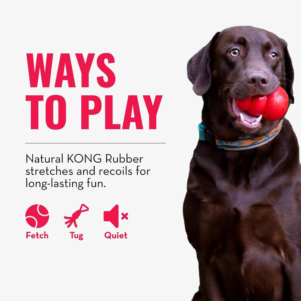 KONG Juguete de remolcador, suministros para perros de tira y afloj...