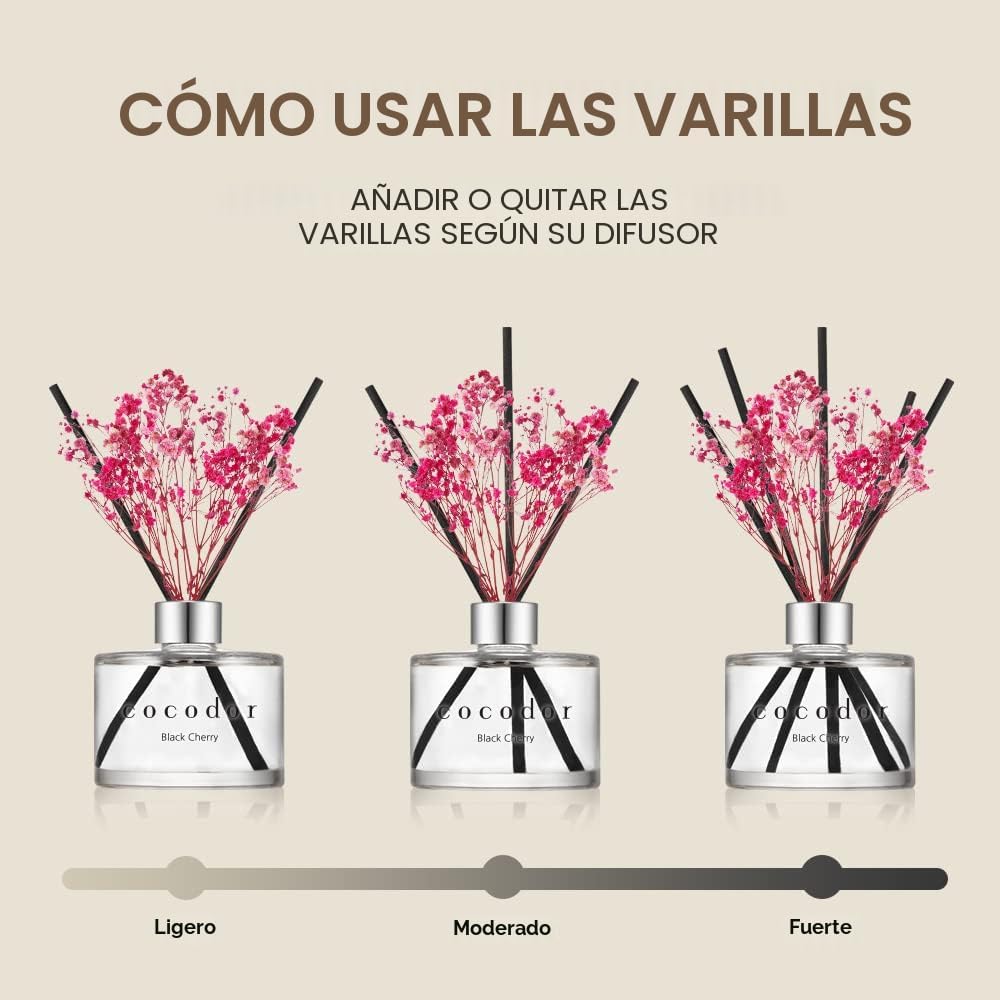COCODOR - Difusor con flores preservadas, aceite de jazmín blanco y...