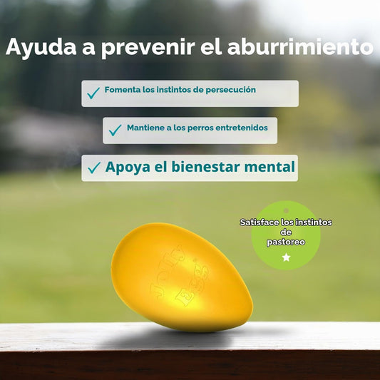 Juguete Jolly Egg para perros de Jolly Pets, 12 Pulgadas\/Grande, A...