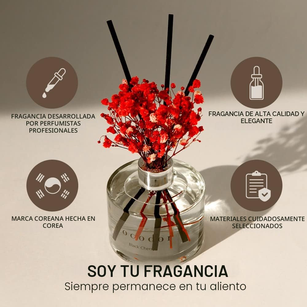 COCODOR - Difusor con flores preservadas, aceite de jazmín blanco y...