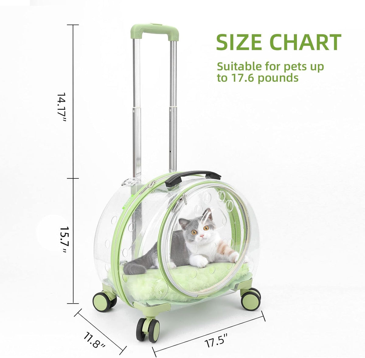 Transportador transparente y completamente transpirable rígido para...