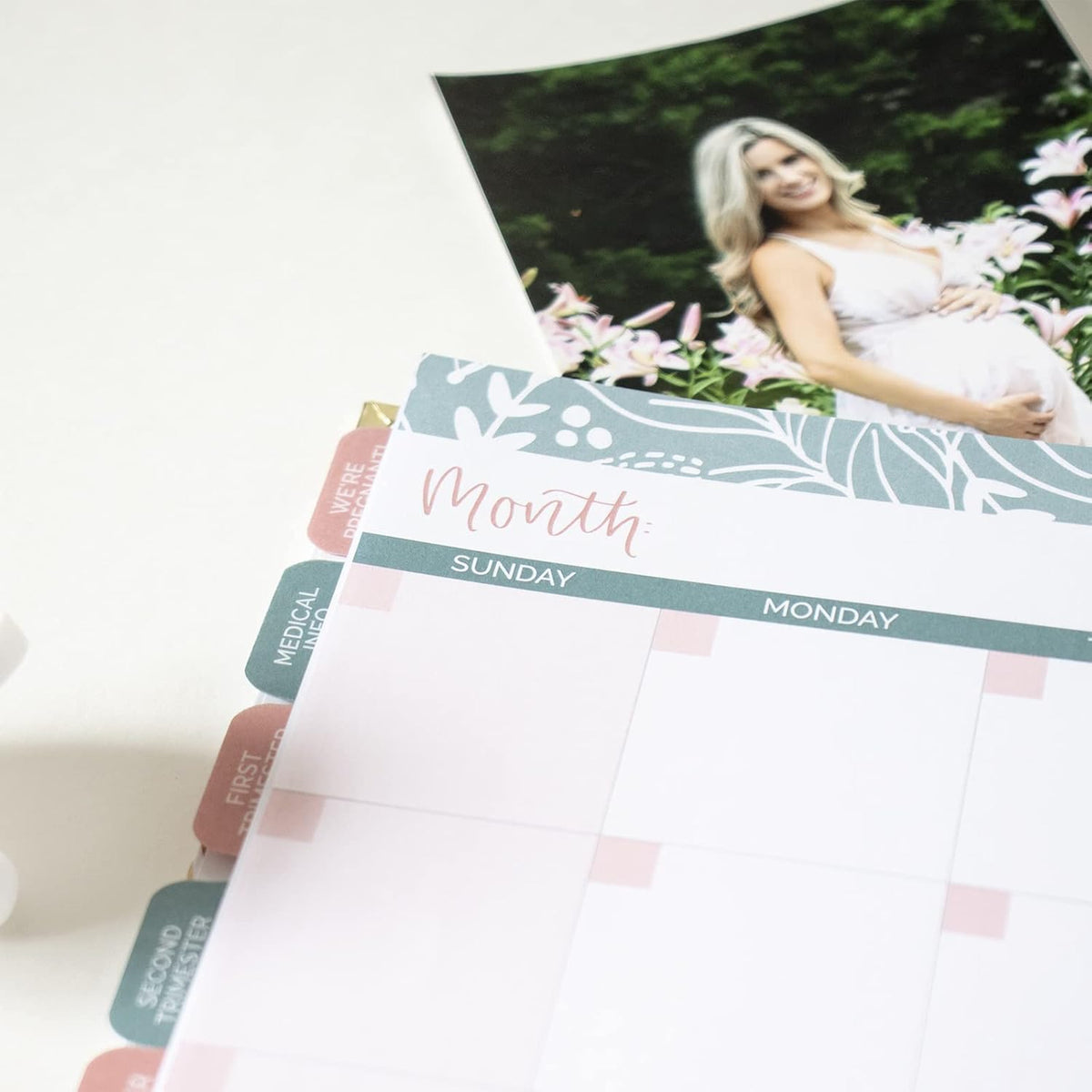 bloom daily planners Nuevo Calendario Planificador de Embarazo y Pr...