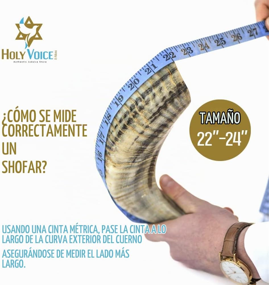Holy Voice Bocina Kosher Ram Shofar de Israel de 22 a 24 pulgadas,...