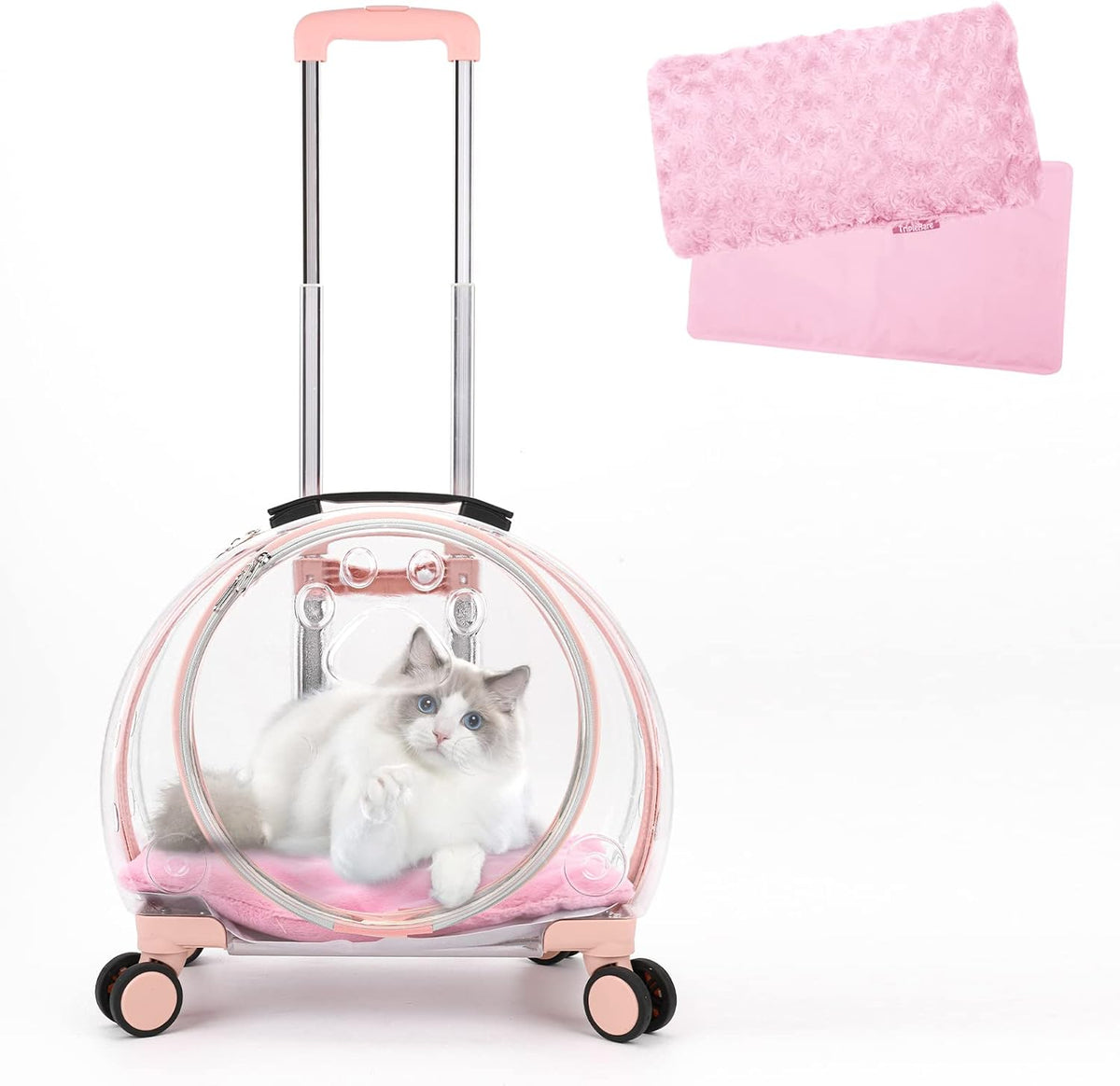 Transportador de gatos duro transparente y totalmente transpirable...