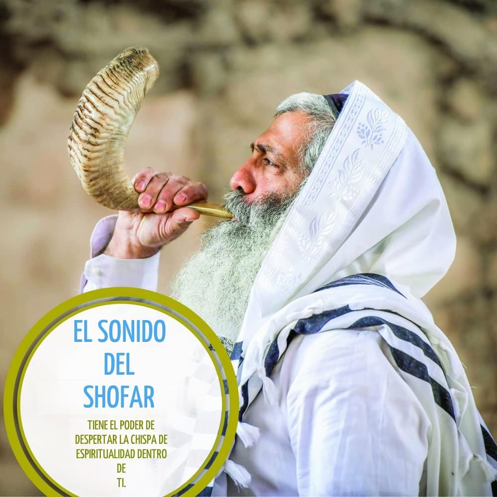 Holy Voice Bocina Kosher Ram Shofar de Israel de 22 a 24 pulgadas,...