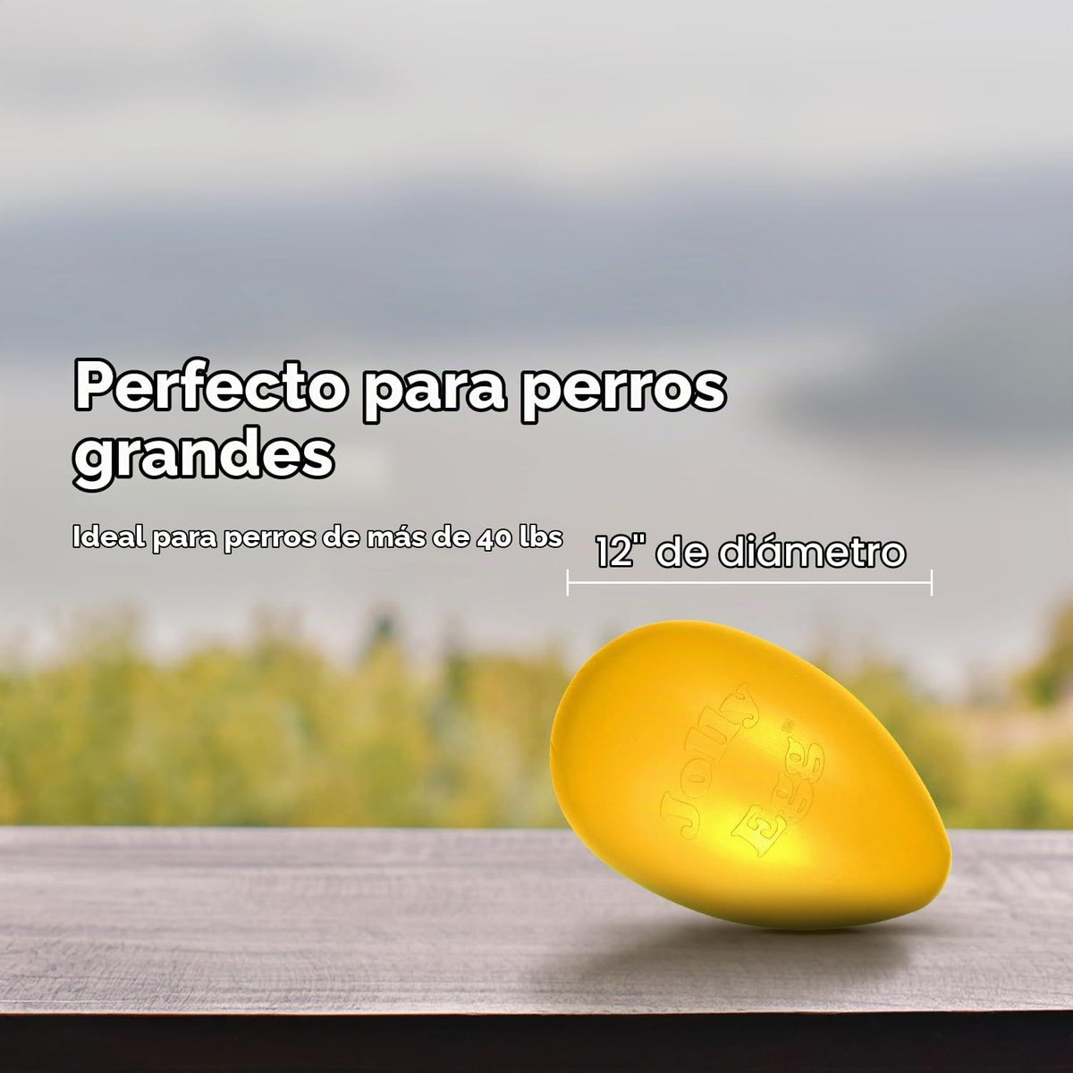 Juguete Jolly Egg para perros de Jolly Pets, 12 Pulgadas\/Grande, A...