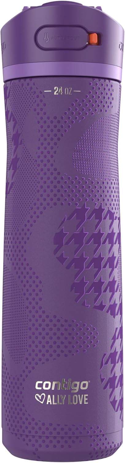 Contigo Botella de agua Ashland Chill