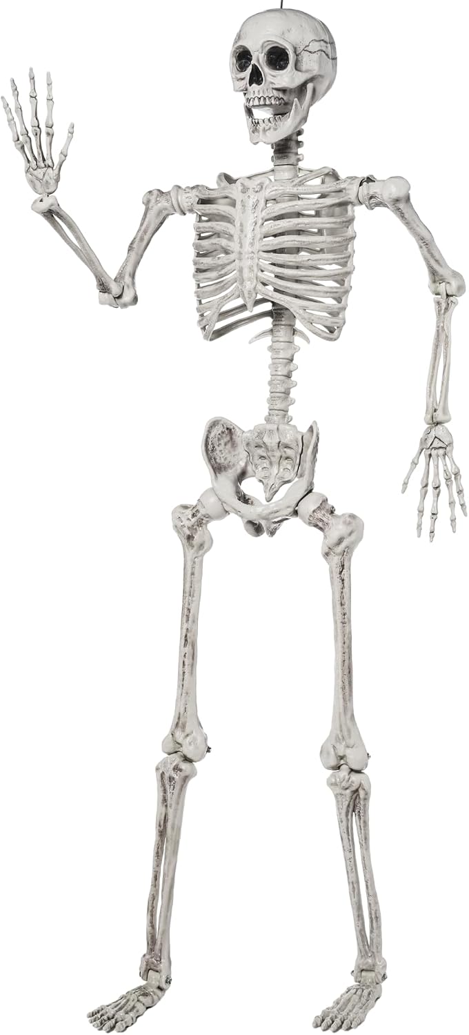 JOYIN - Esqueleto de Halloween de 1.7 m articulable, tamaño real, c...