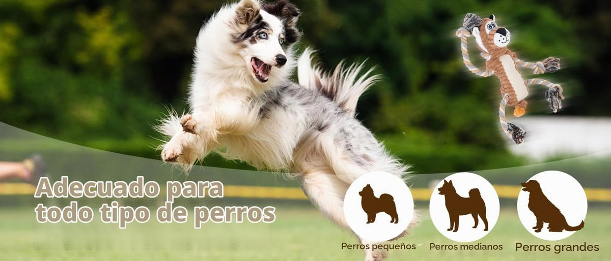 CneeeeeB Juguetes Chirriantes para Perros Interactivos Duraderos co...