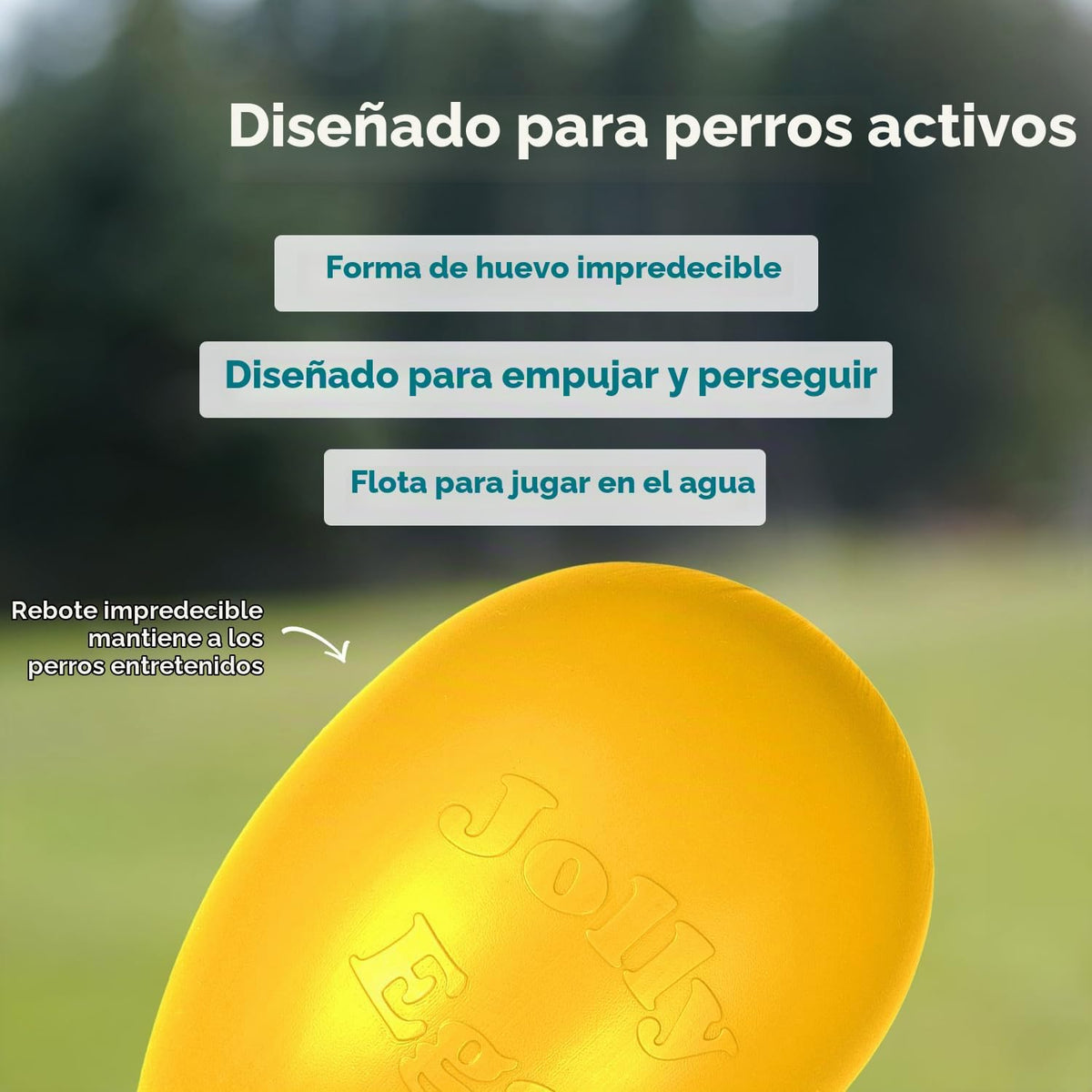 Juguete Jolly Egg para perros de Jolly Pets, 12 Pulgadas\/Grande, A...