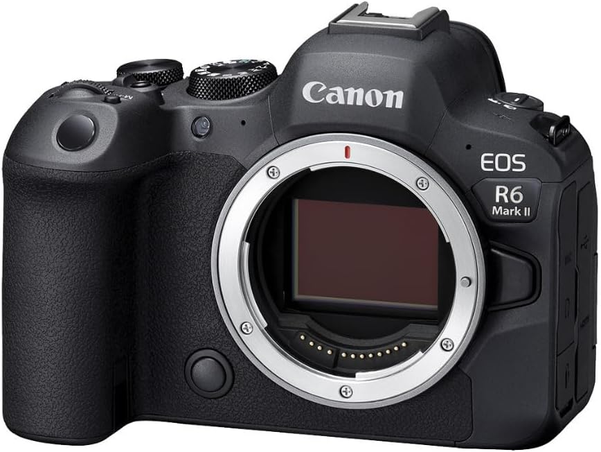 Canon Cámara sin espejo EOS R6 Mark II (solo cuerpo), cámara de fot...