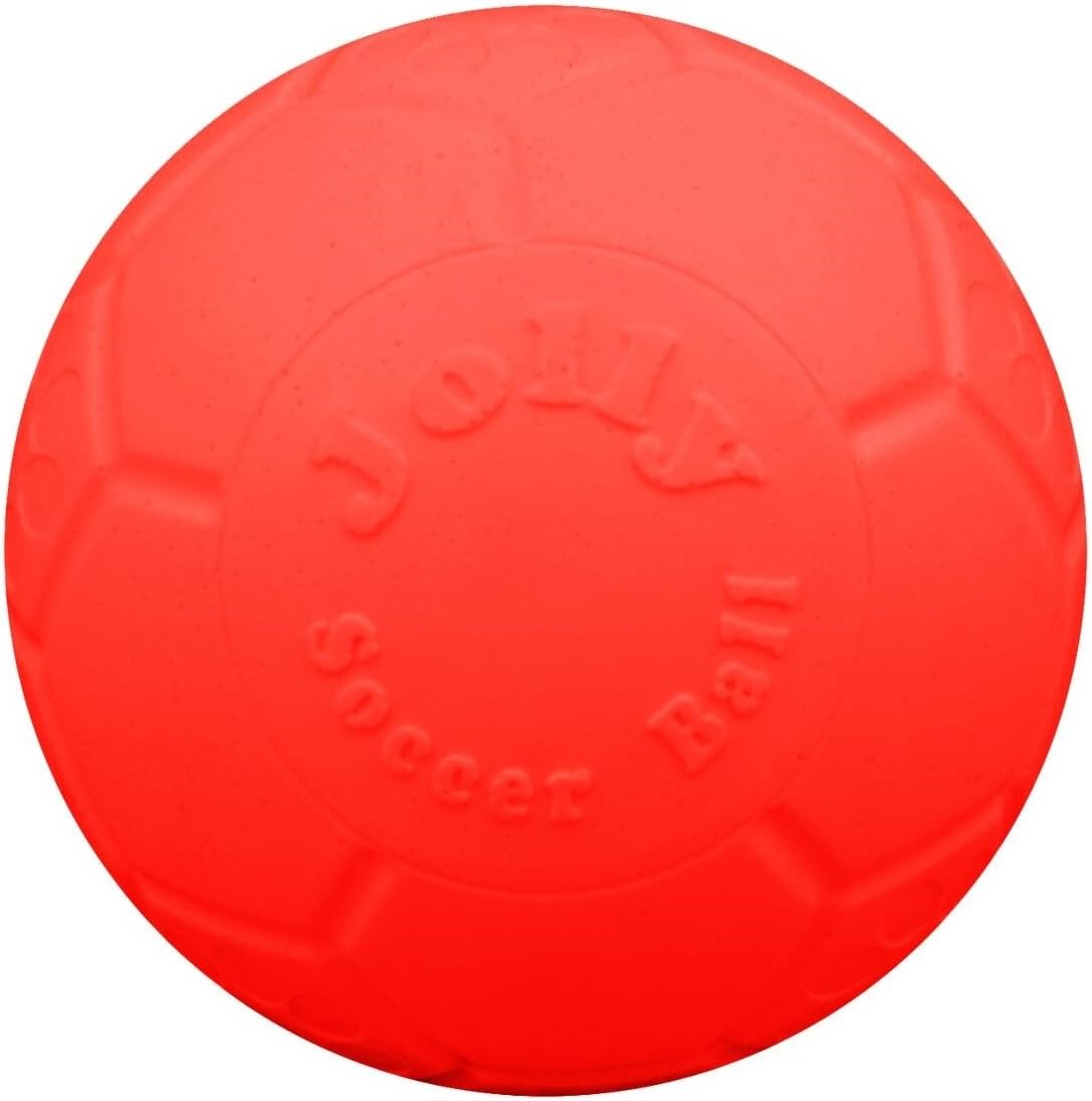 Juguete para perros Jolly Pets de fútbol flotante y rebotador, medi...