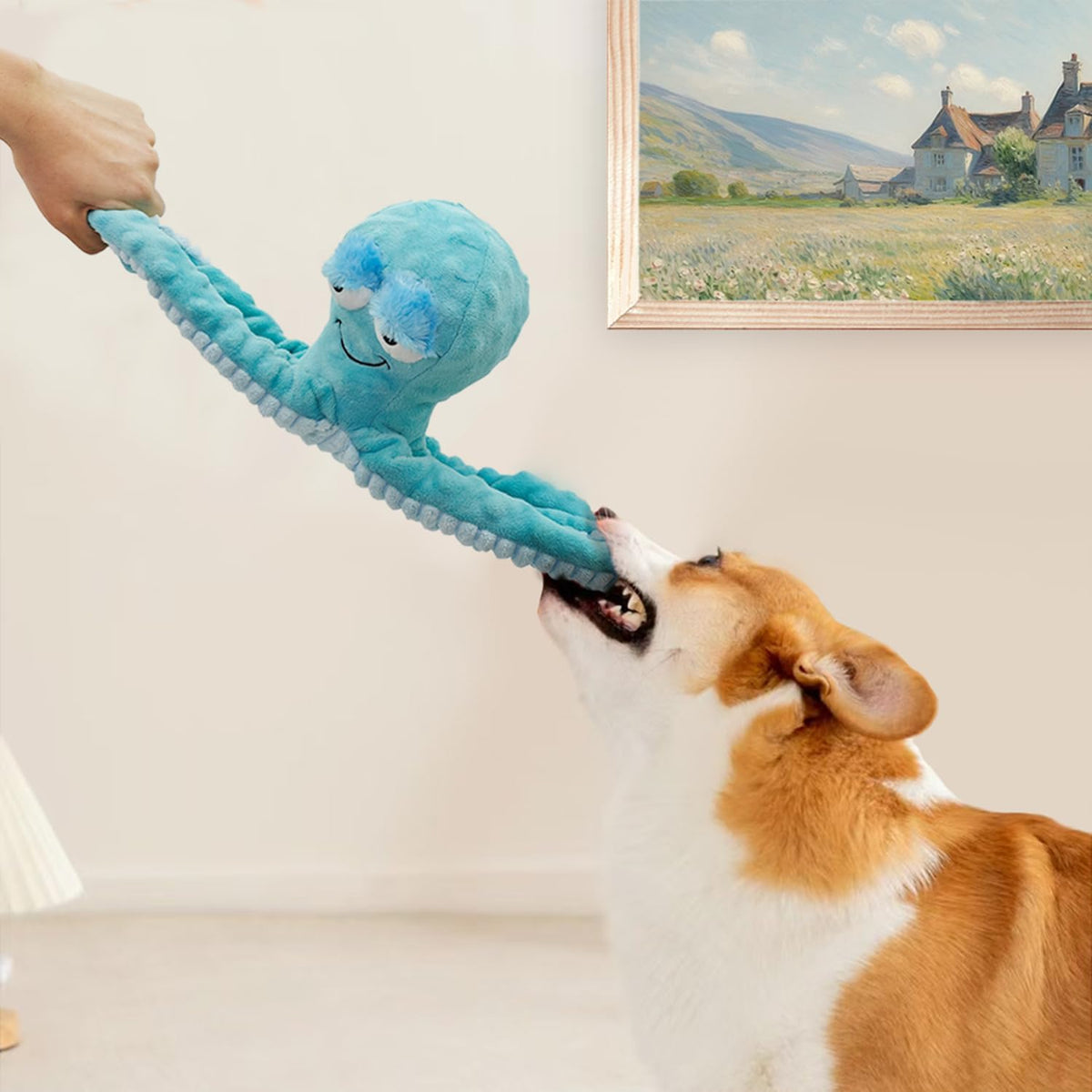 Chongqile Juguetes Chirriantes para Perros - Juguetes de Peluche In...