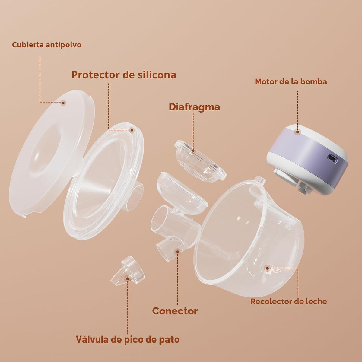 Extractor de leche portátil con manos libres de larga duración de l...