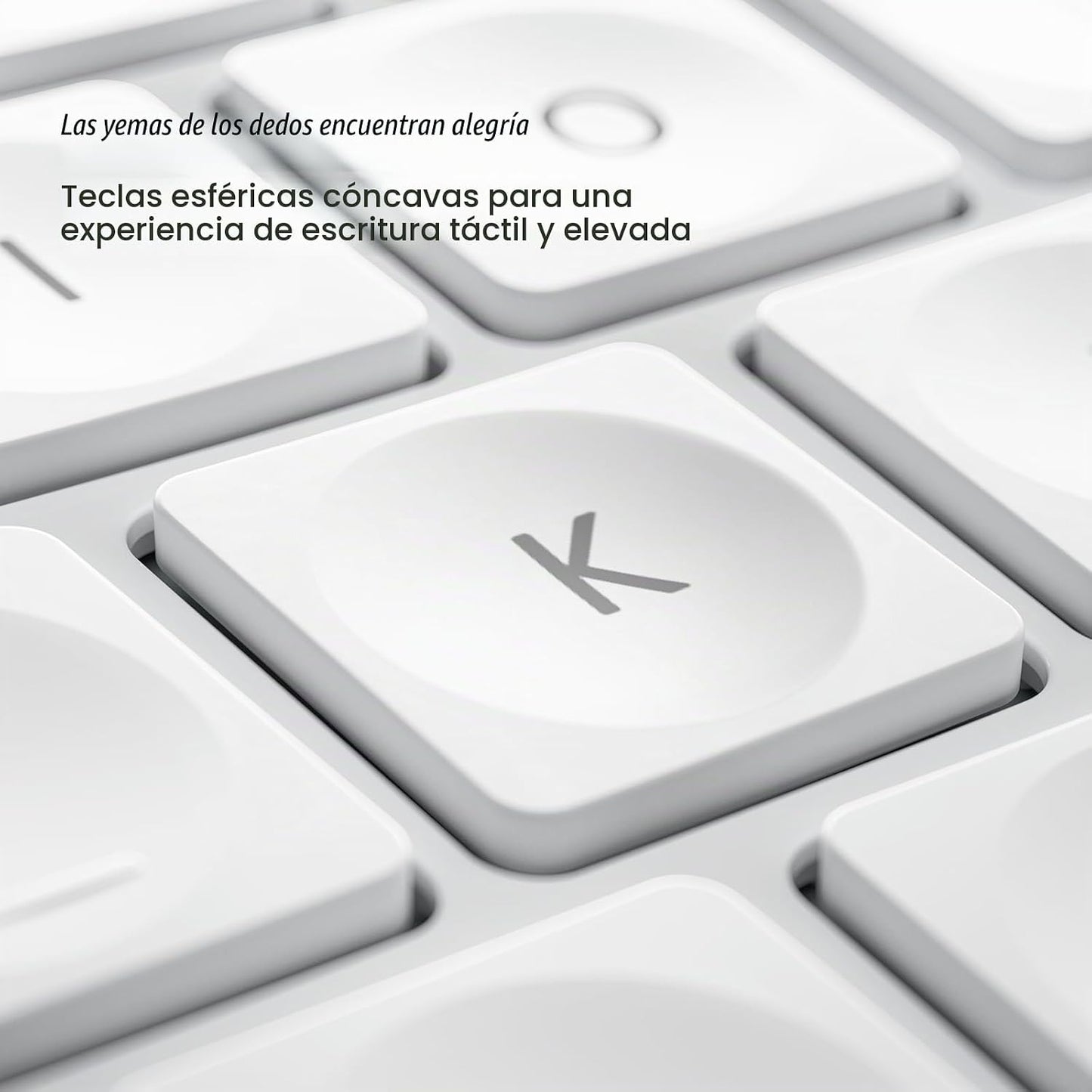 Nulea (D-Rosa-Blanco)