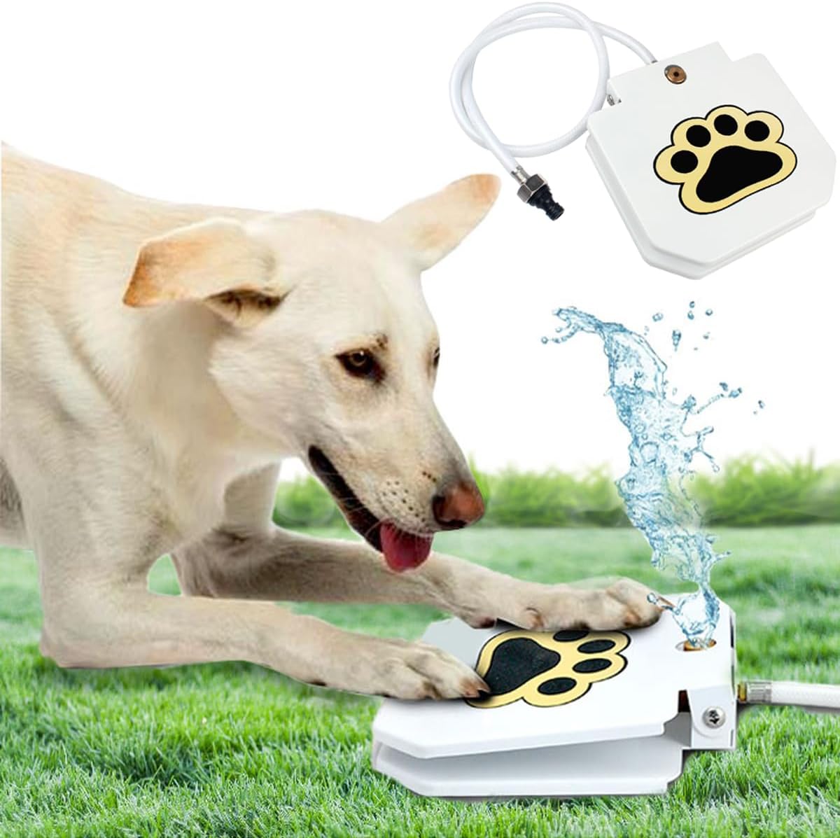 Trio Gato Fuente de agua para perros al aire libre, con patas de as...