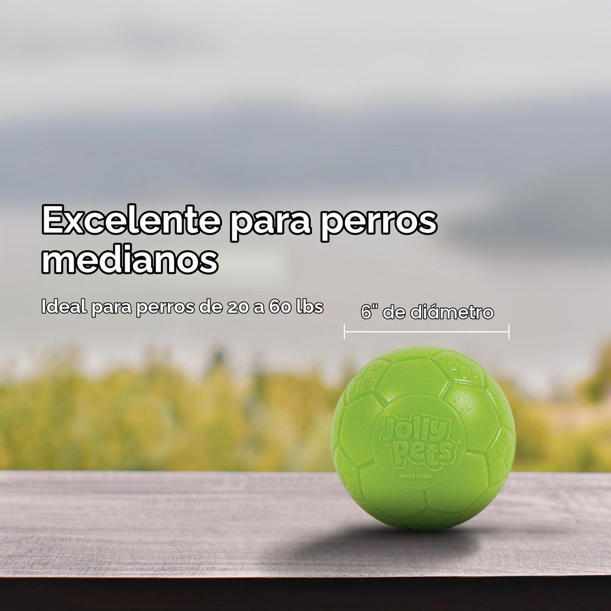 Juguete para perros Jolly Pets - Pelota de fútbol flotante y rebota...
