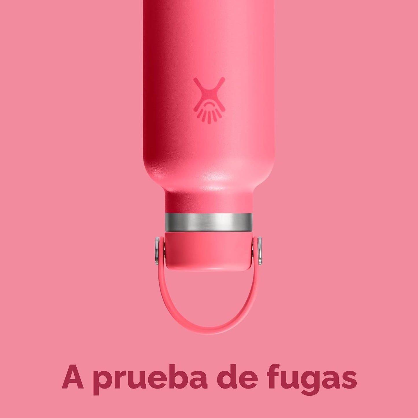 Hydro Flask Botella de agua \u2013 Acero inoxidable aislado \u2013...
