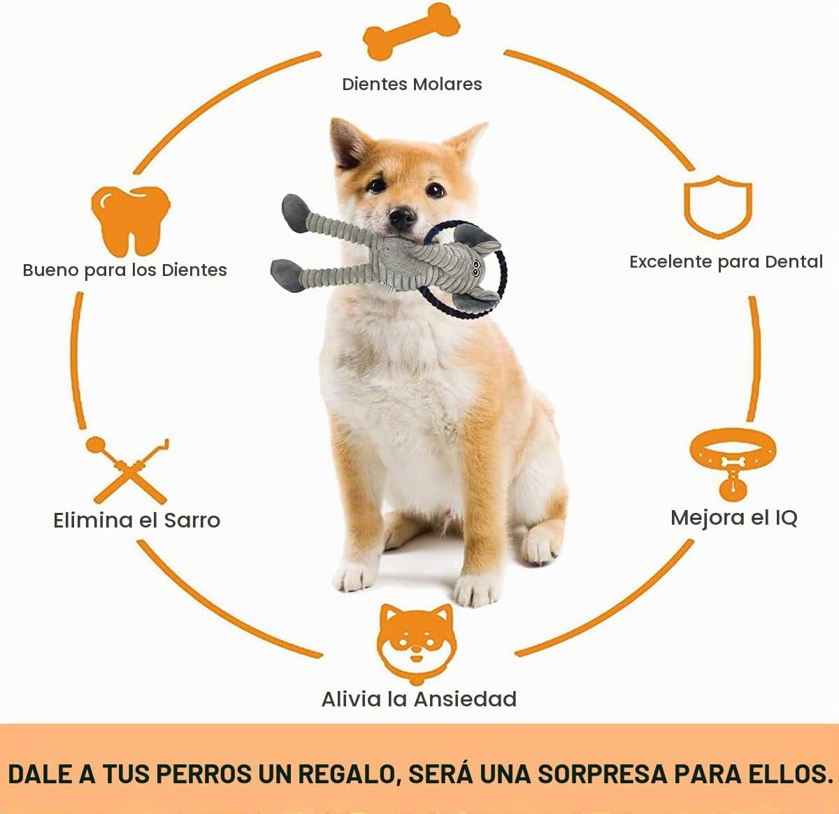 HUGEME Juguete de cuerda de mono para perro, juguete chirriante de...