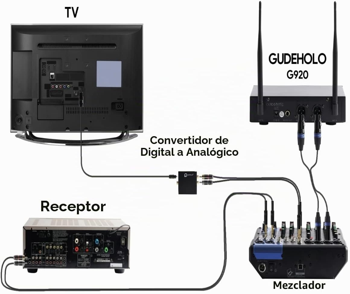 GUDEHOLO Sistema de Micrófono Inalámbrico con Estuche, Micrófono In...