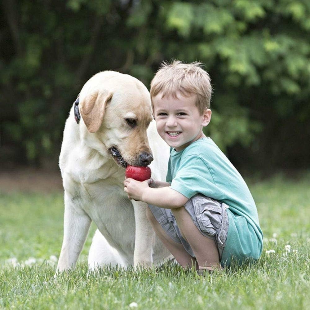 Juguete masticable clásico KONG para perros - Juguete para buscar y...