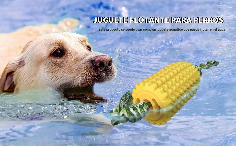 Carllg Juguetes masticables para perros, cepillo de dientes para ca...