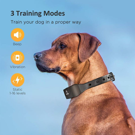 PATPET Collar de entrenamiento para perros grandes \u2013 IPX7 impe...