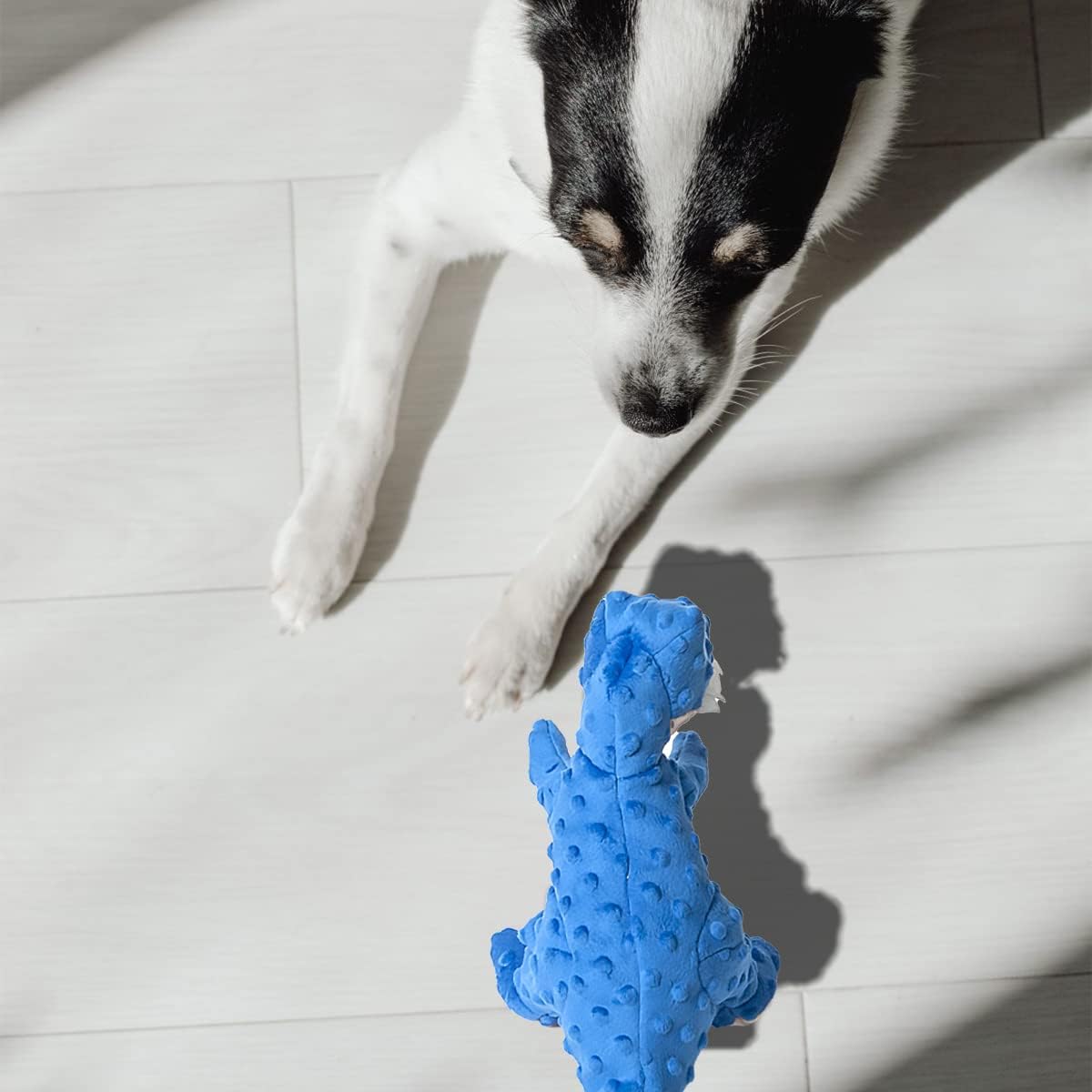 DODODOLA Juguetes para Perros Juguete Azul de Dinosaurio para Perro...