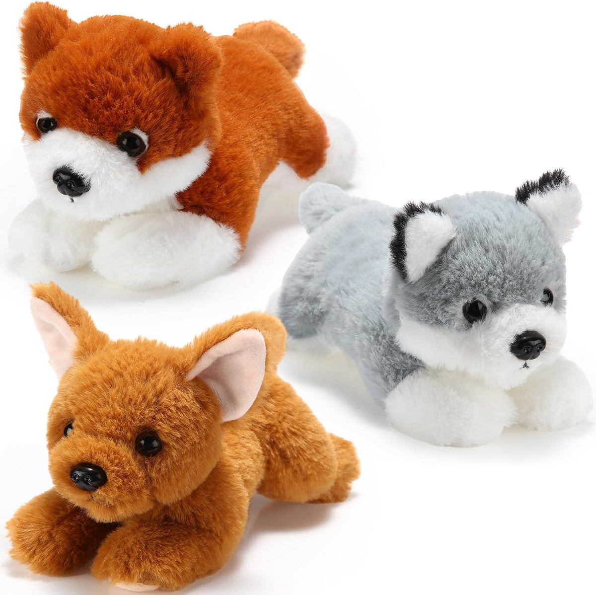 Skylety - 3 piezas de peluche para perro, pomerania, chihuahua, cor...