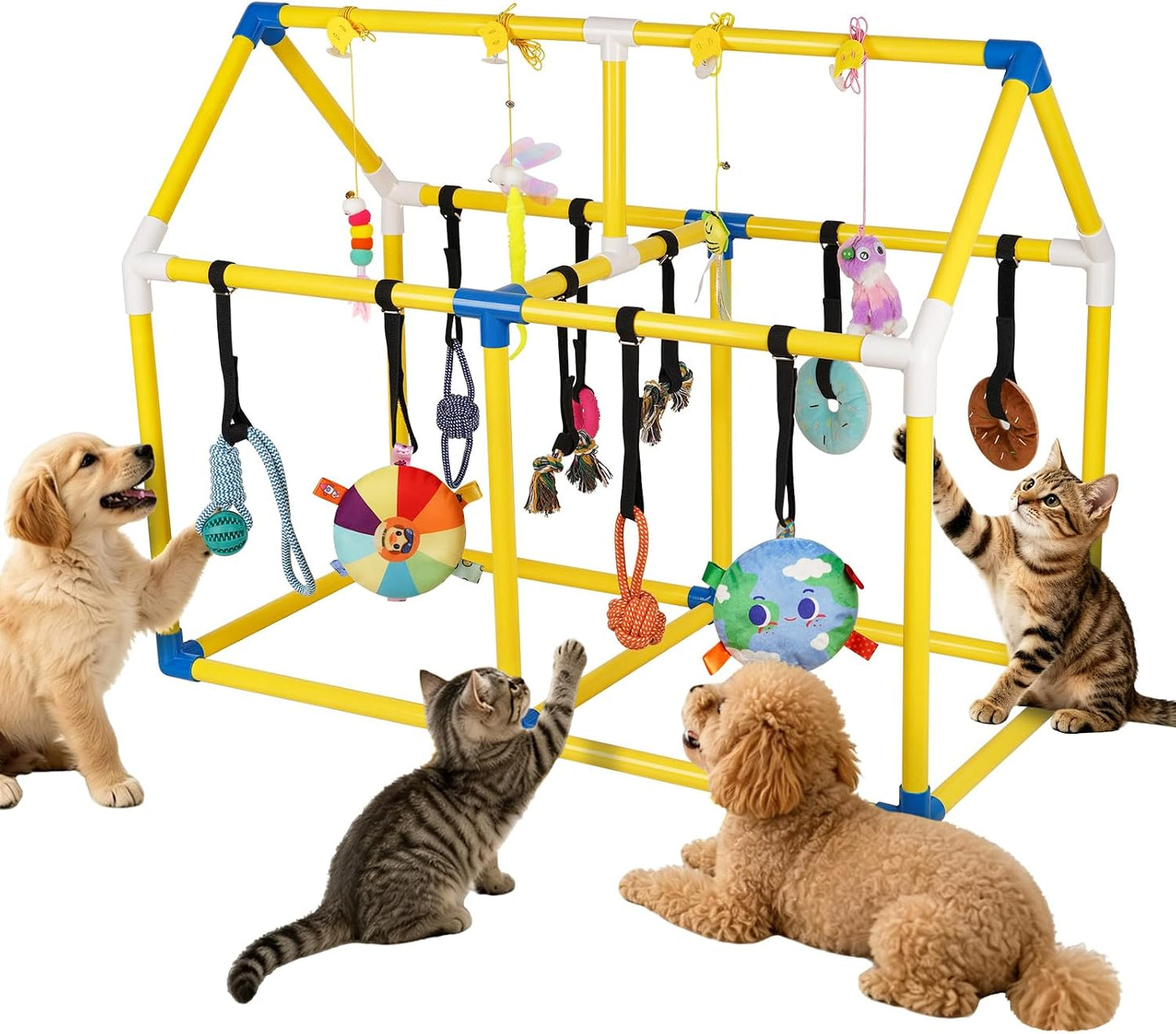 Liitrton Gimnasio para cachorros para perros pequeños y gatitos, ma...