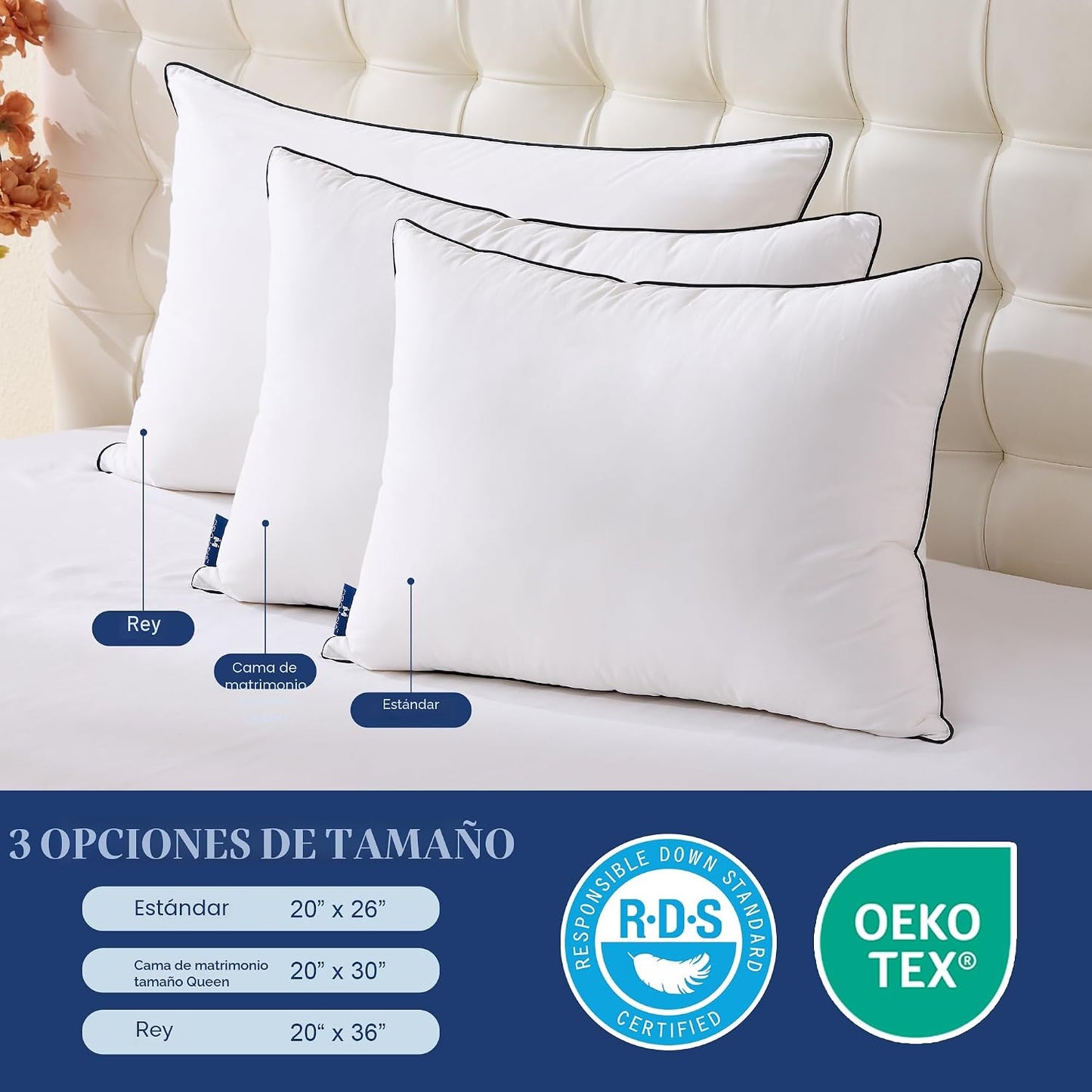 Mosluna Juego de 2 almohadas de plumas tamaño Queen, juego de 2 alm...