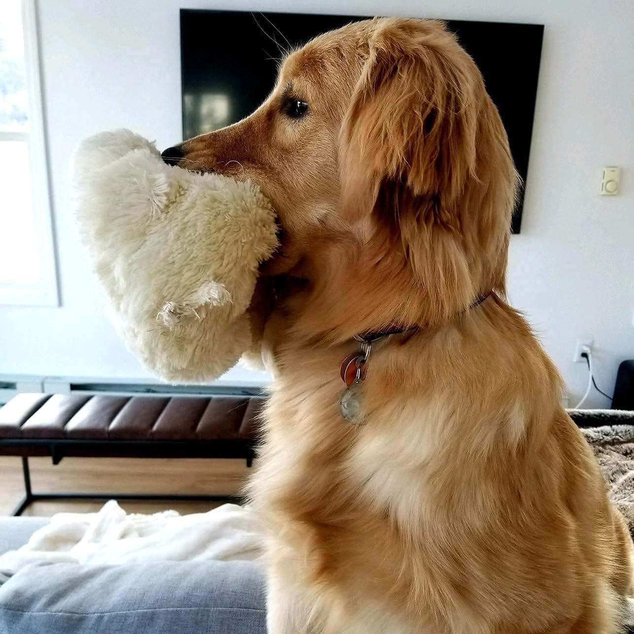 Original Snuggle Puppy - Juguete para cachorros con latido del cora...