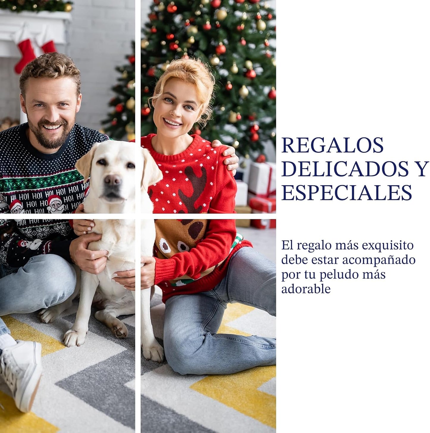 Frienhund Paquete de 3 Juguetes Masticables de Nylon Indestructible...