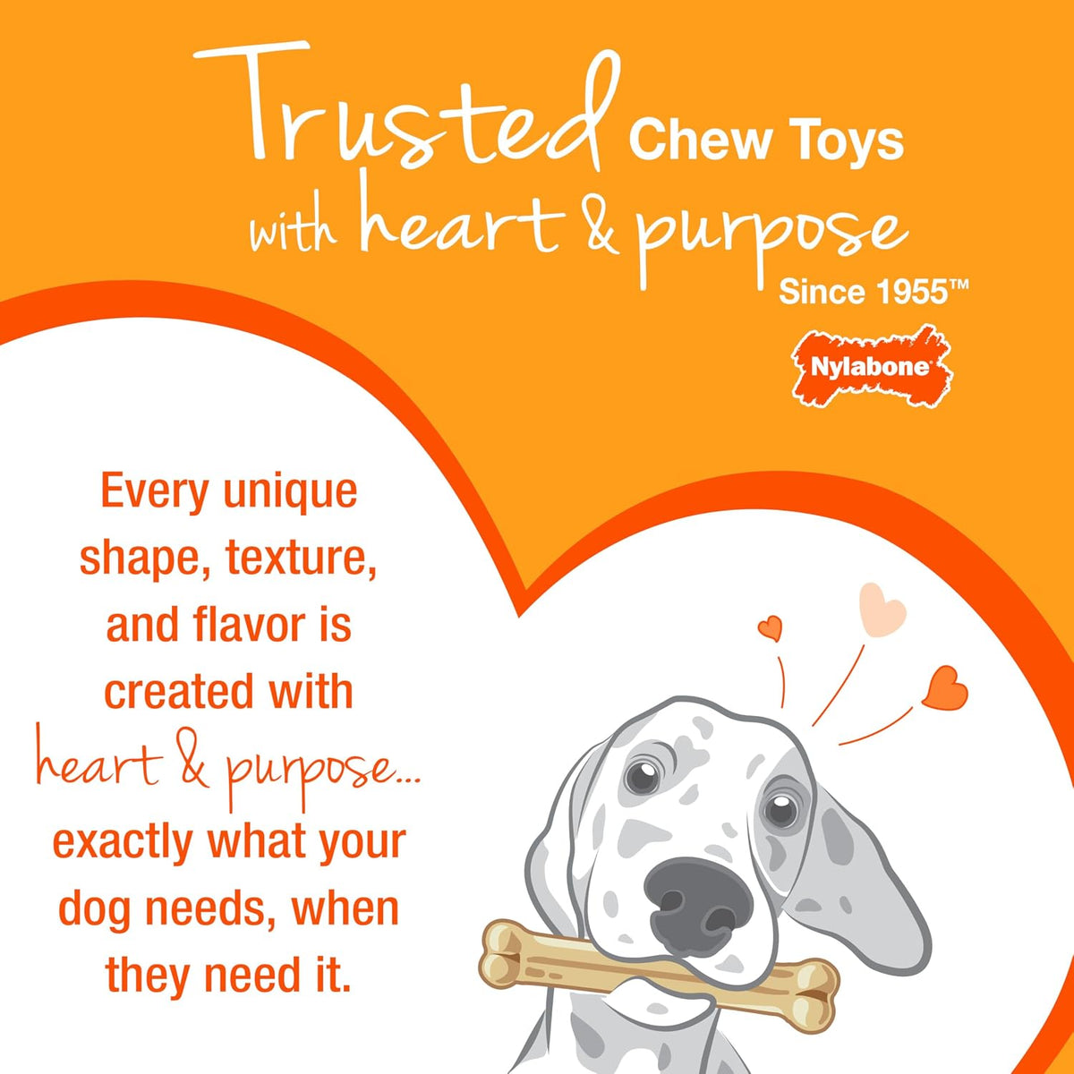 Nylabone Power Chew - Juguete ergonómico para masticar y sujetar y...