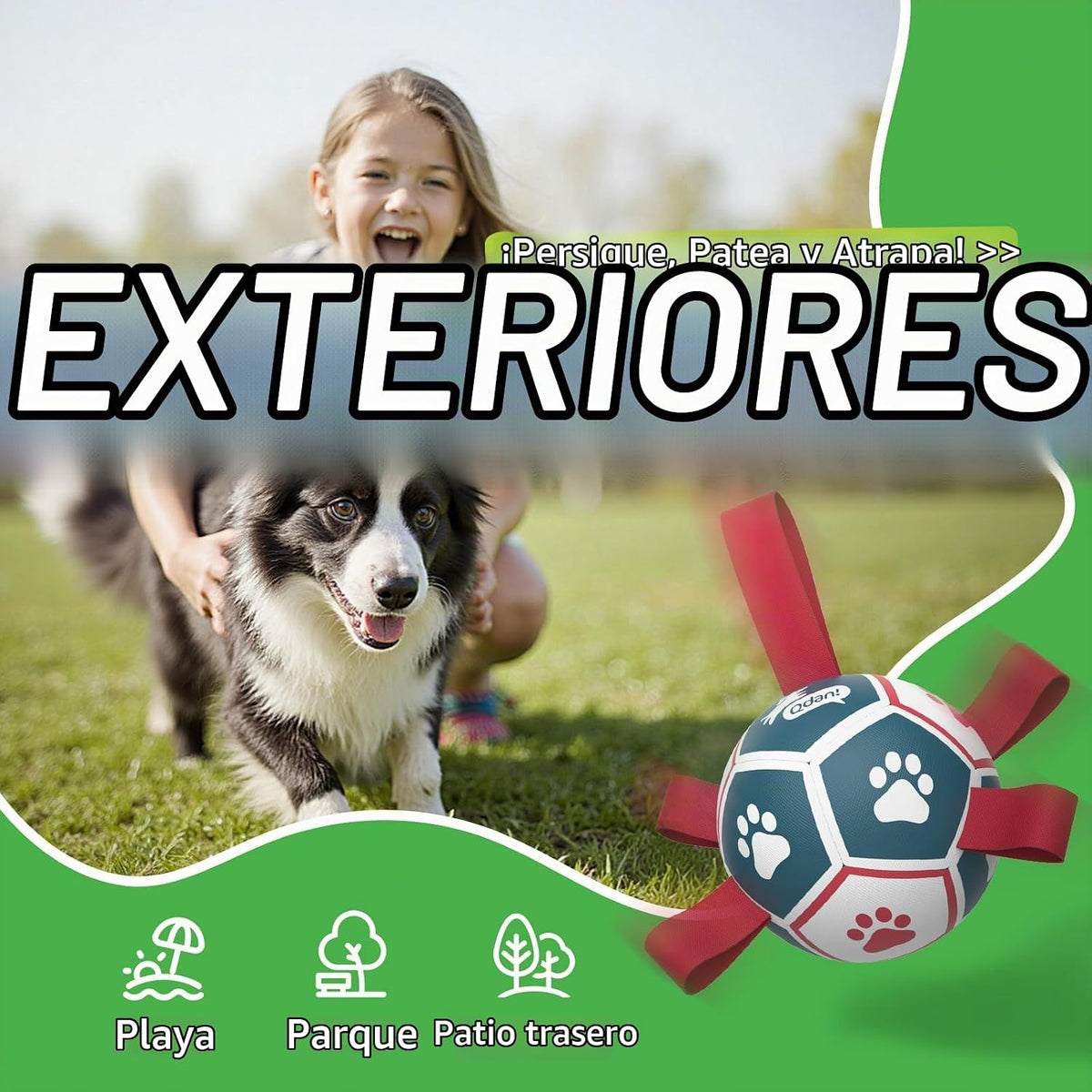 QDAN Juguetes para perros pequeños, juguetes para interiores y exte...