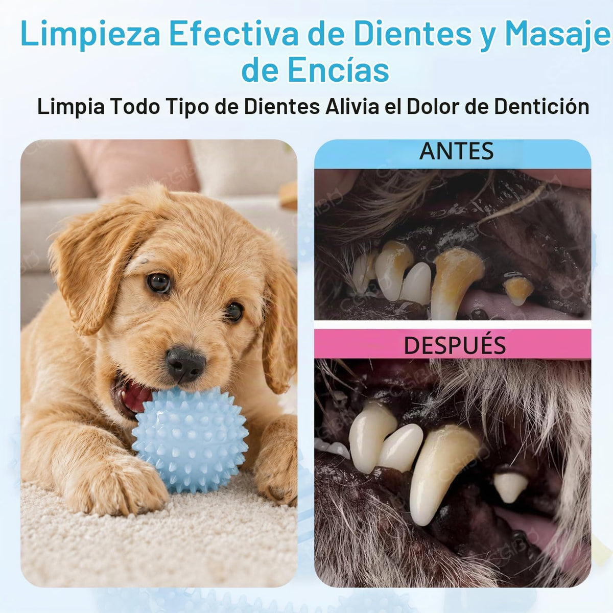 CGBD Juguetes para cachorros, paquete de 6 juguetes masticables par...