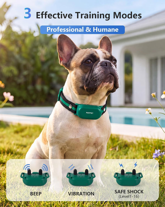 PATPET Collar de Entrenamiento para Perros con Control Remoto - Col...