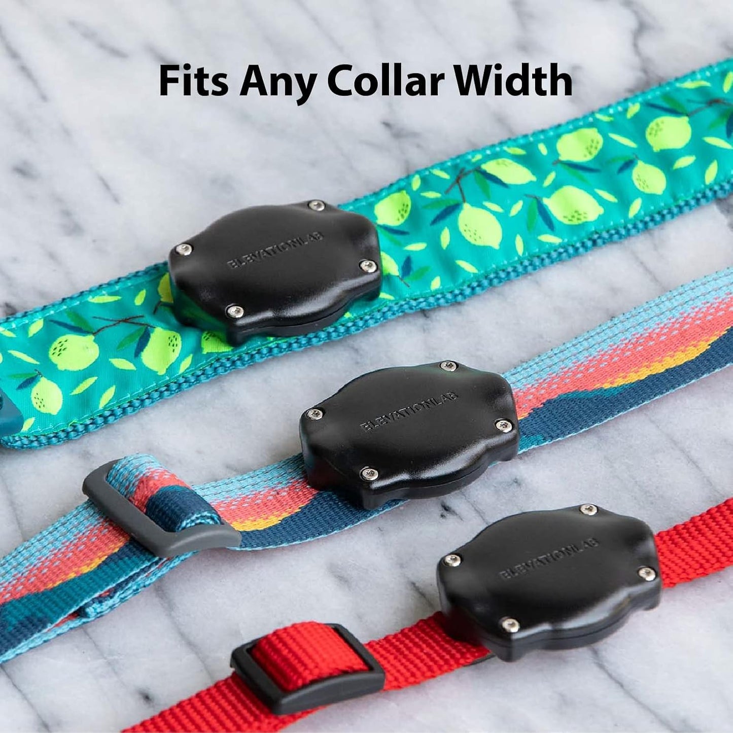 Elevation Lab TagVault AirTag Soporte para Collar de Perro (Paquete...