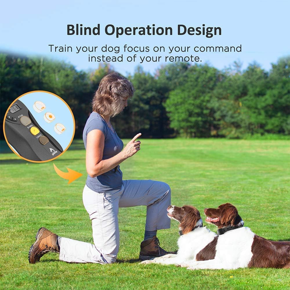 PATPET Collar de entrenamiento para 2 perros con control remoto \u2...