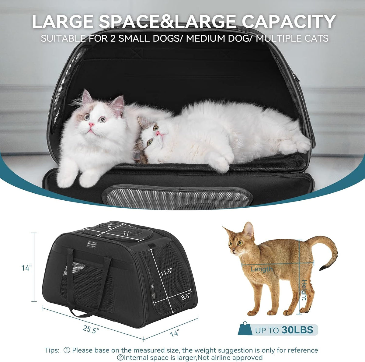 PETSFIT Transportador Extra Grande para Mascotas con Ruedas - Trans...